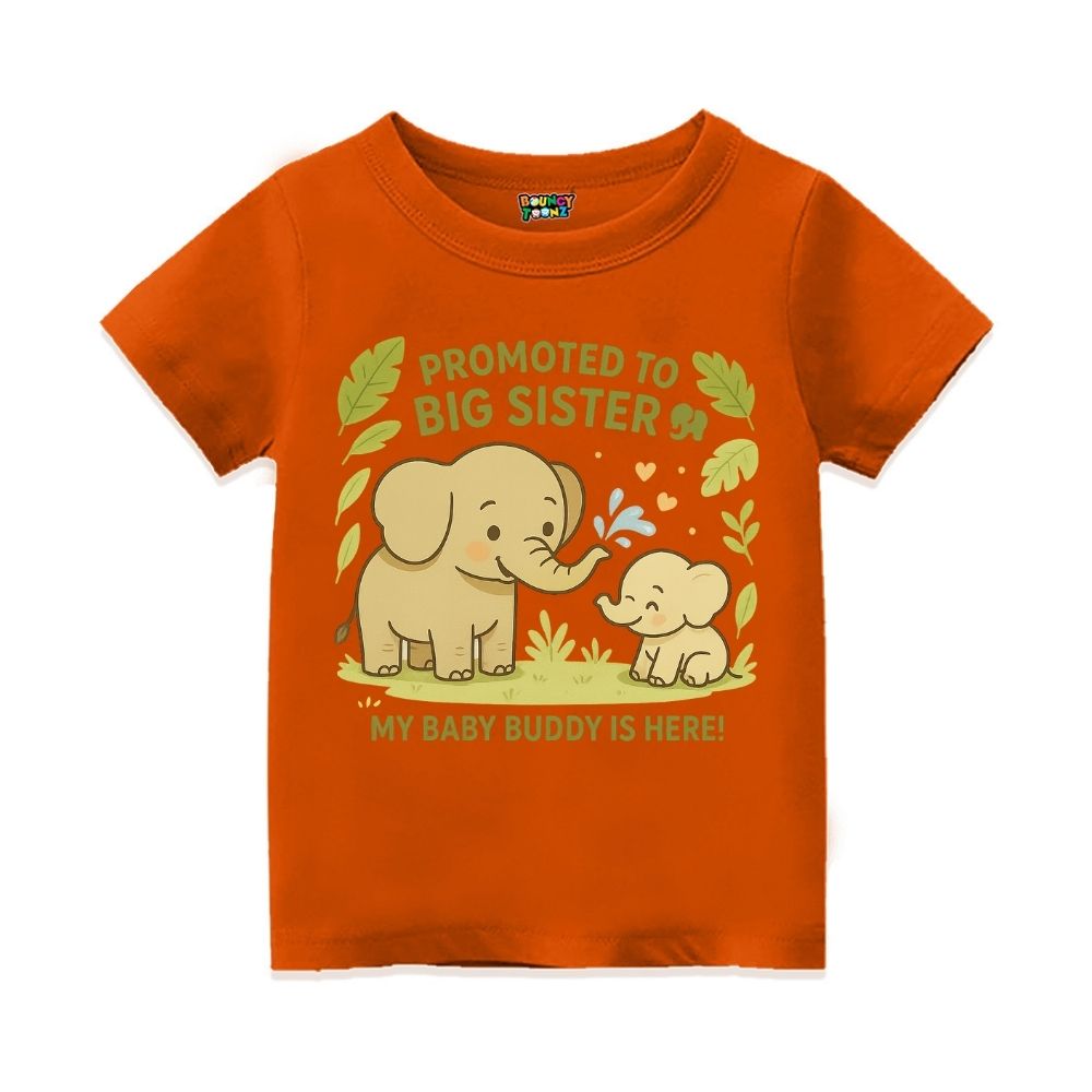 "My Baby Buddy Is Here!" Big Sister Announcement Tee